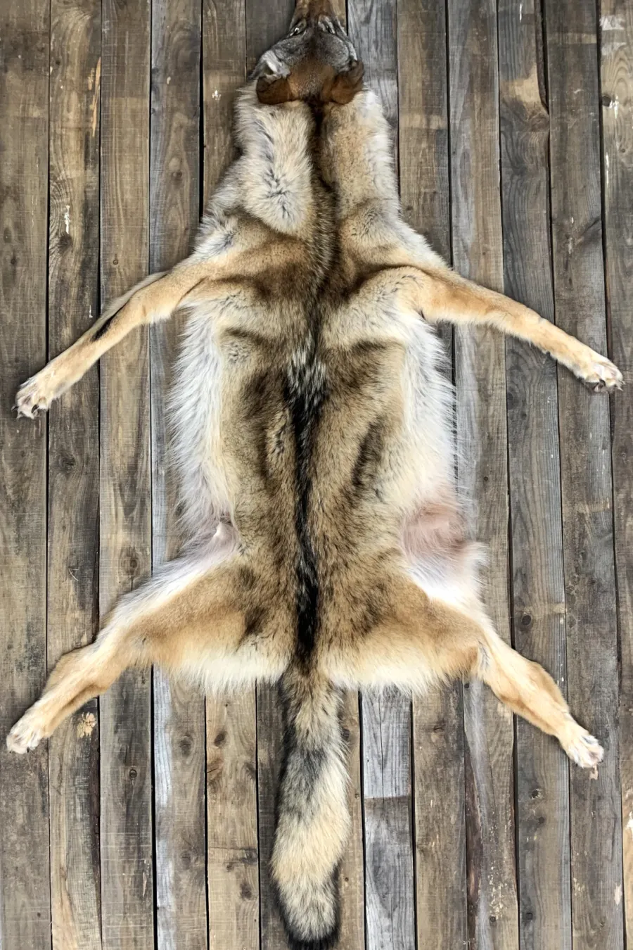 Peau loup