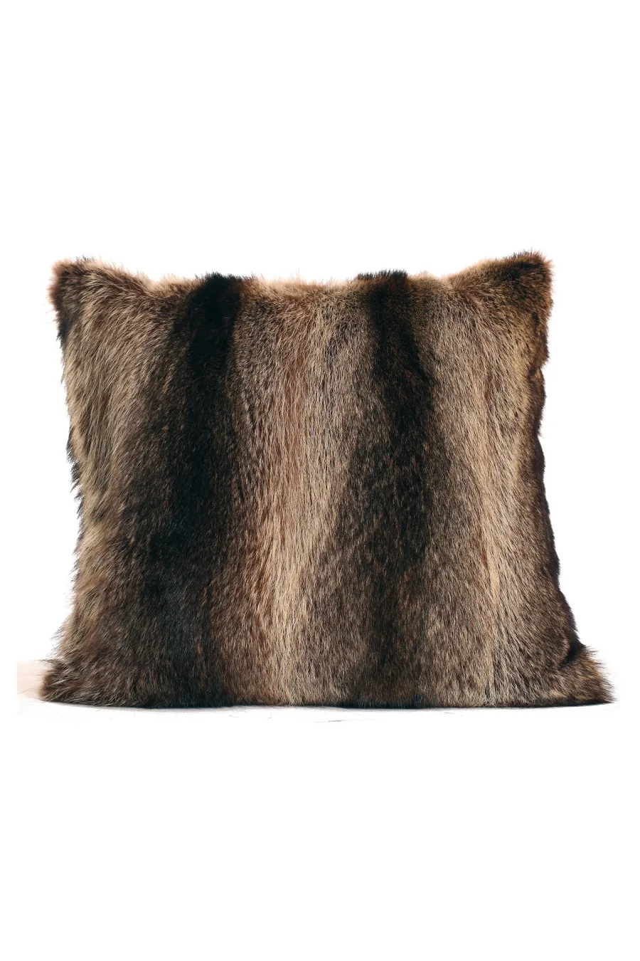 Coussin raton laveur