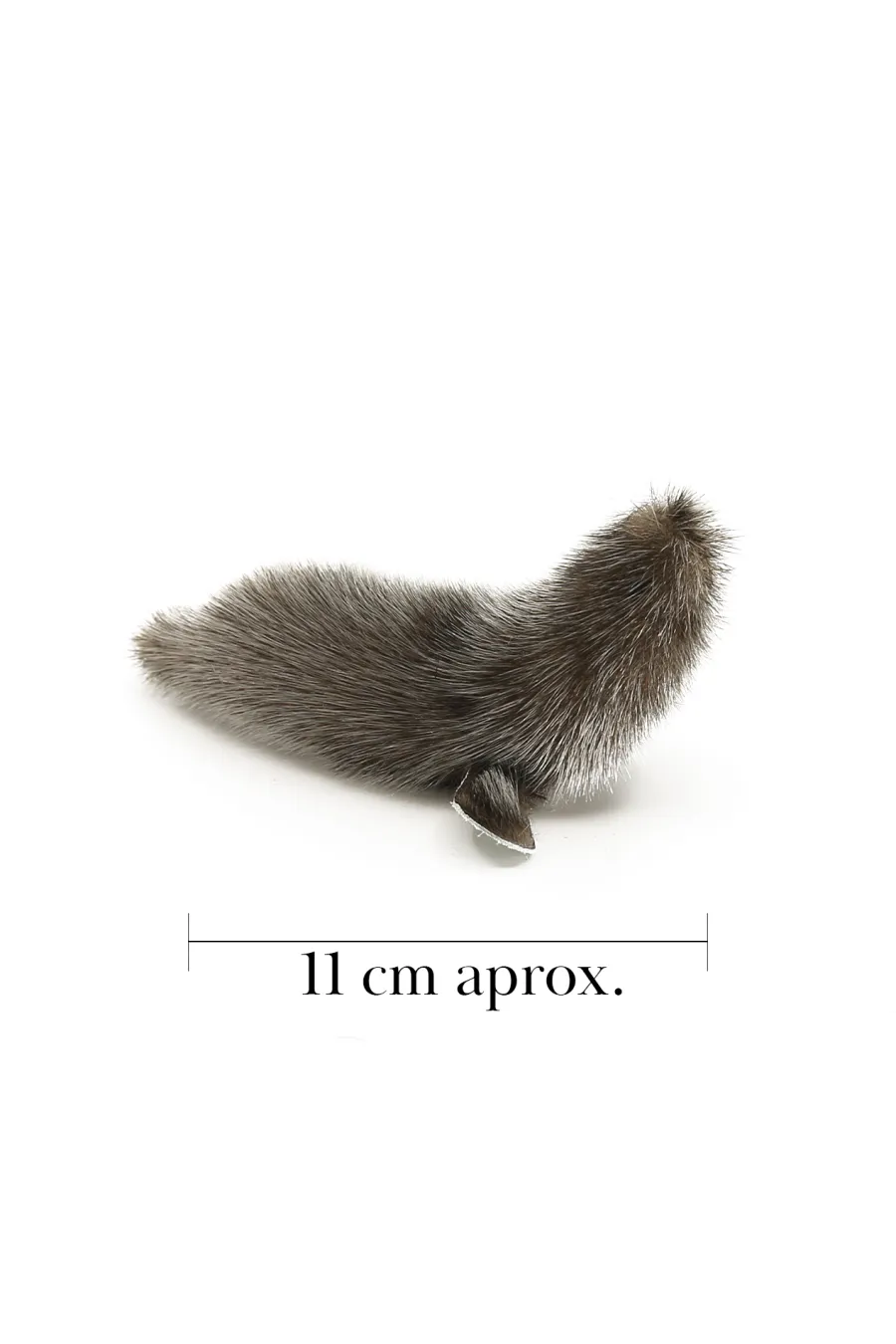 Phoque L