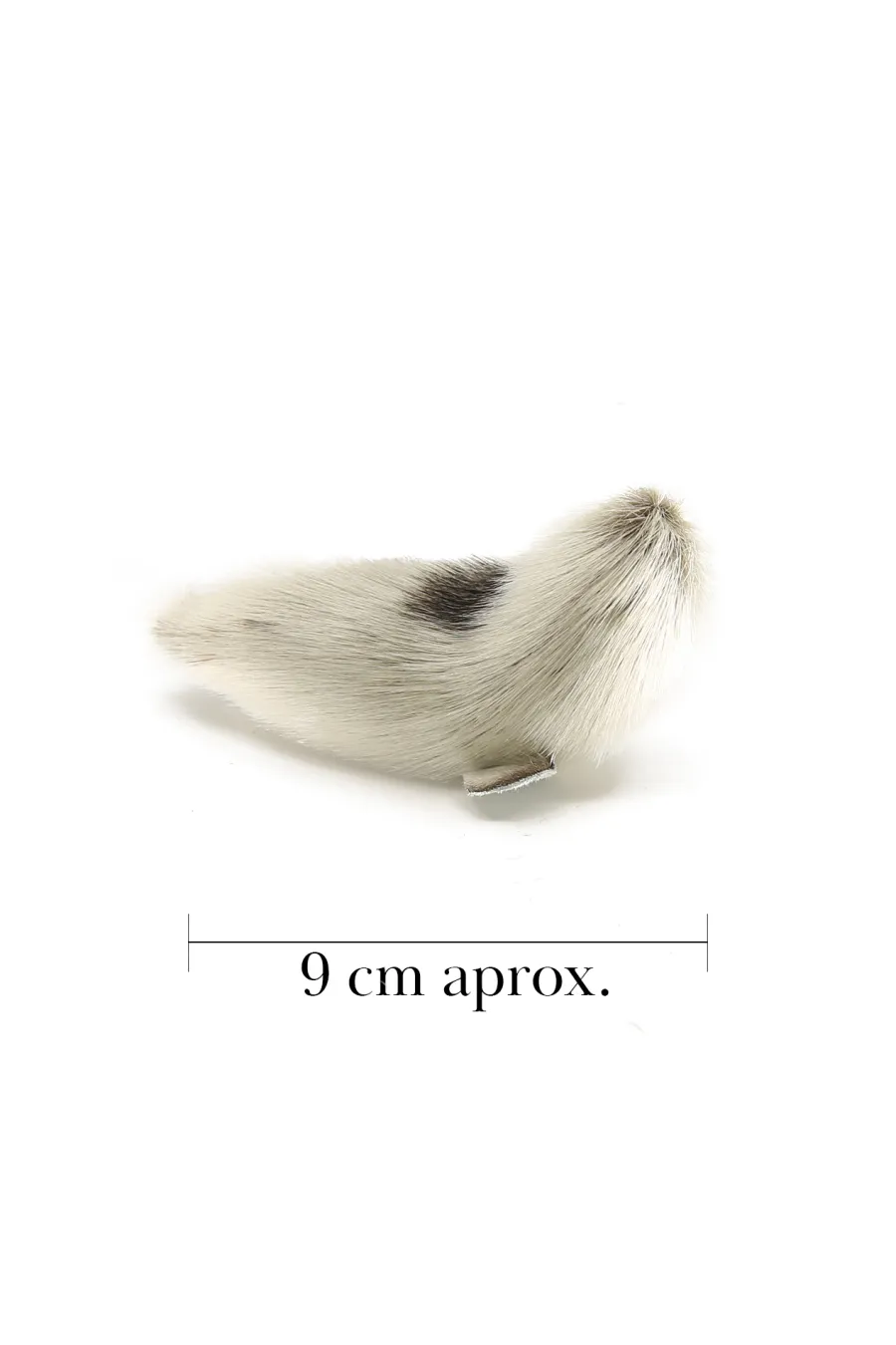 Phoque M