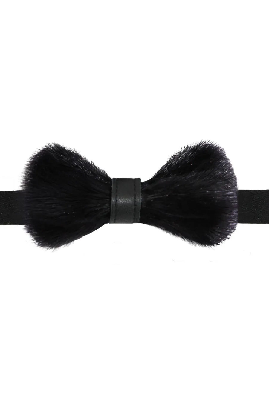 Noeud papillon noir