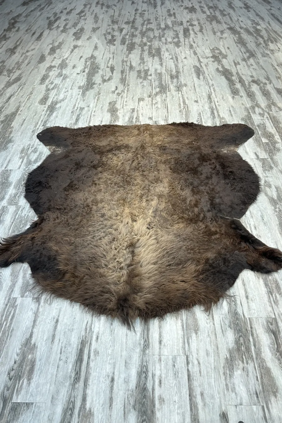 Peau bison 1 1