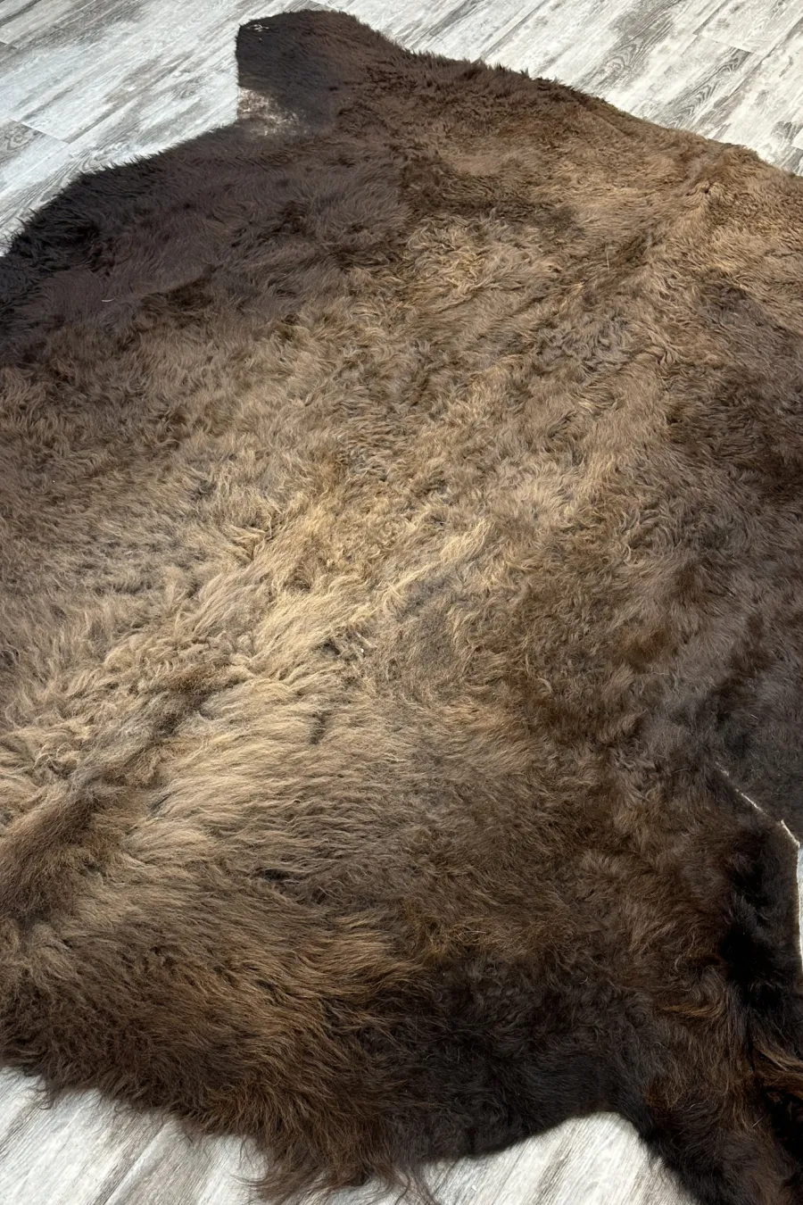 Peau bison 1 2