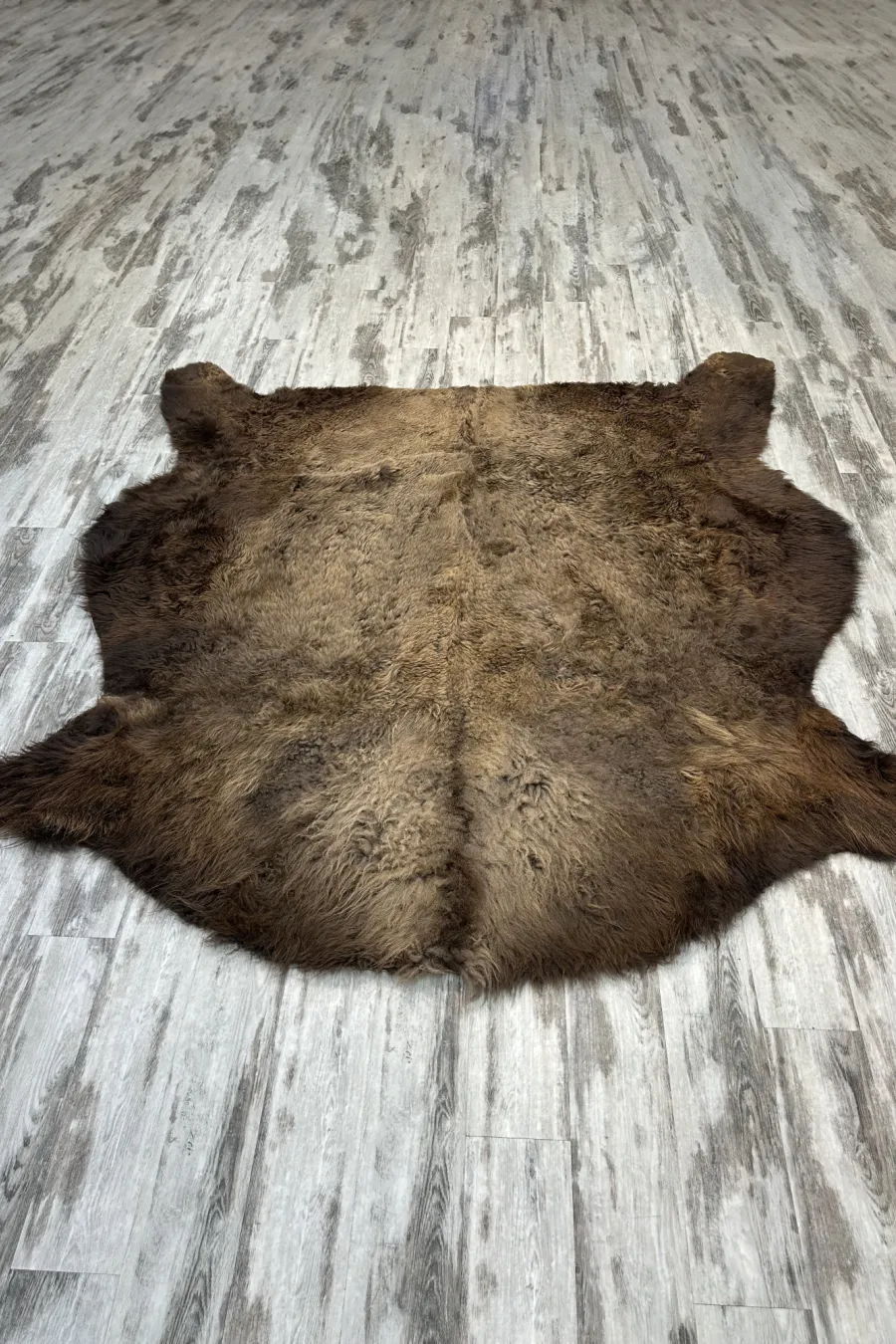 Peau bison 2 1