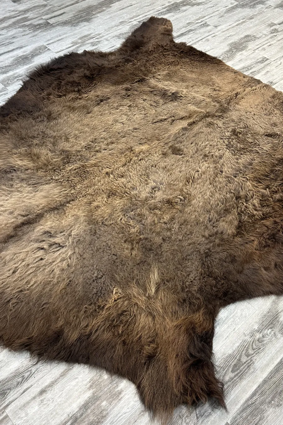 Peau bison 2 2