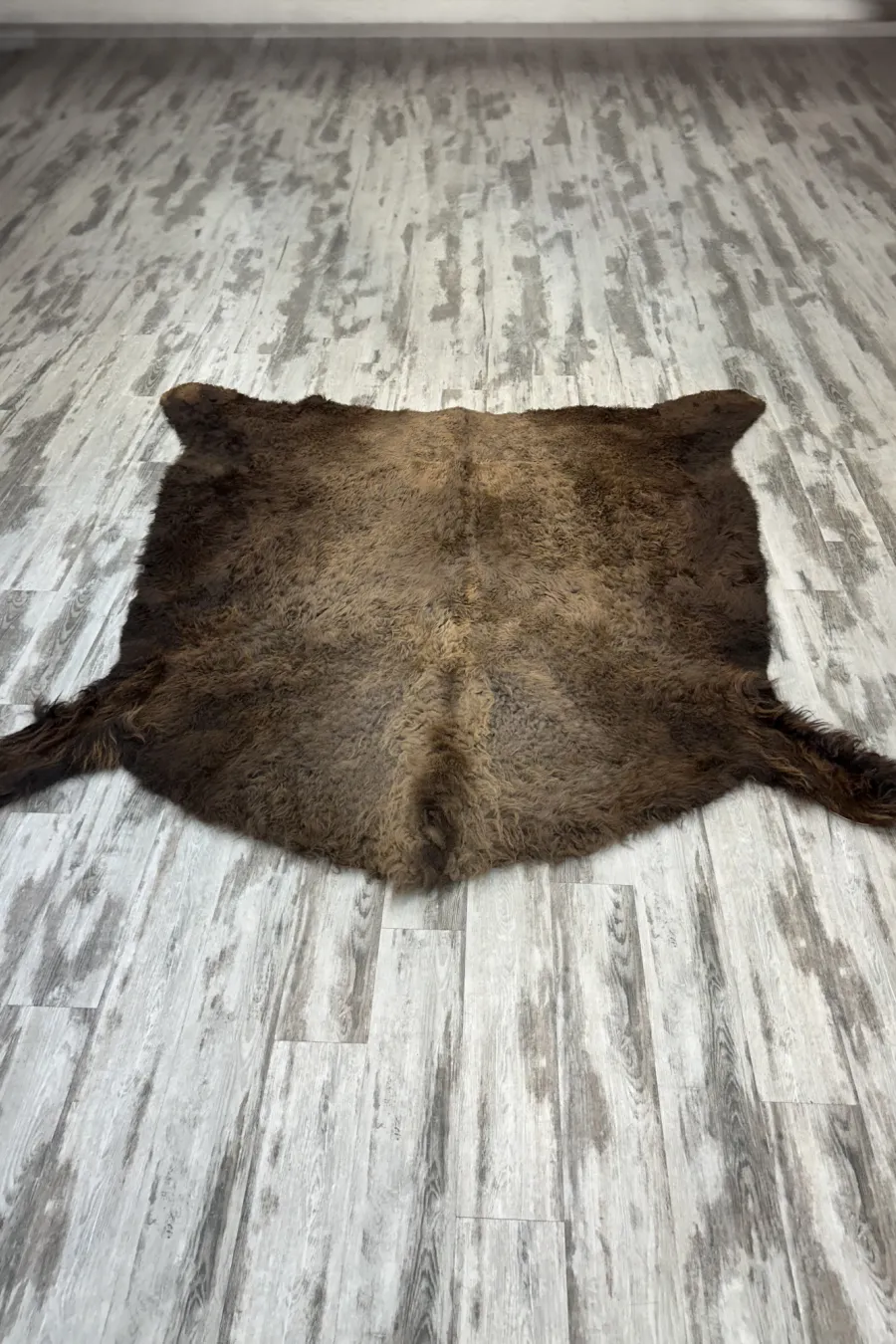 Peau bison 3 1