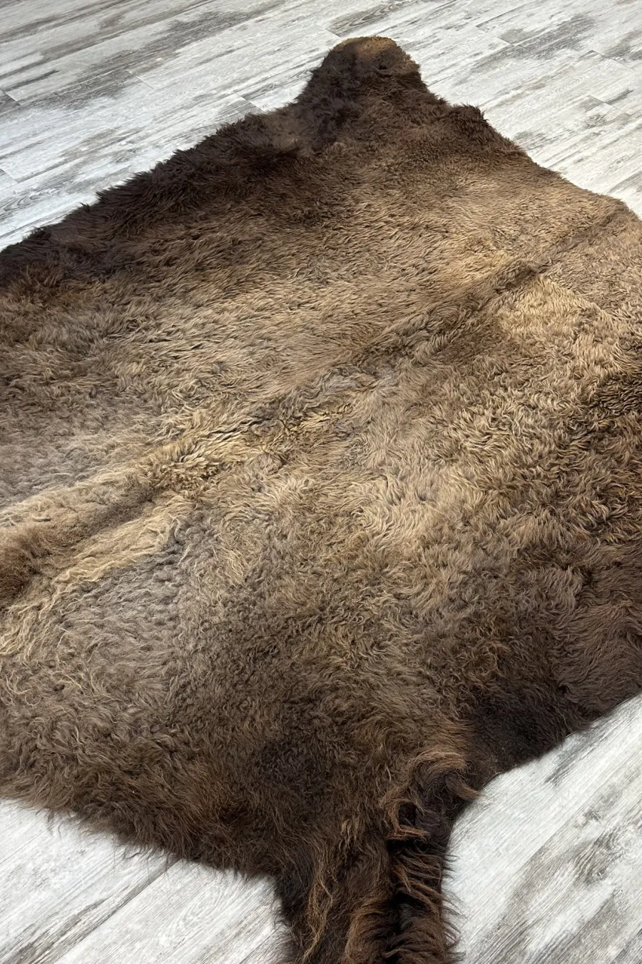 Peau bison 3 2