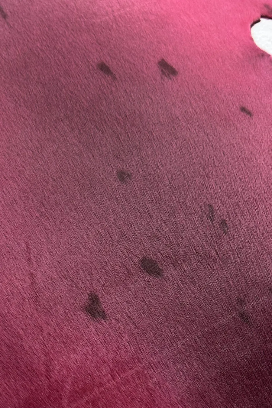 IMG 3130