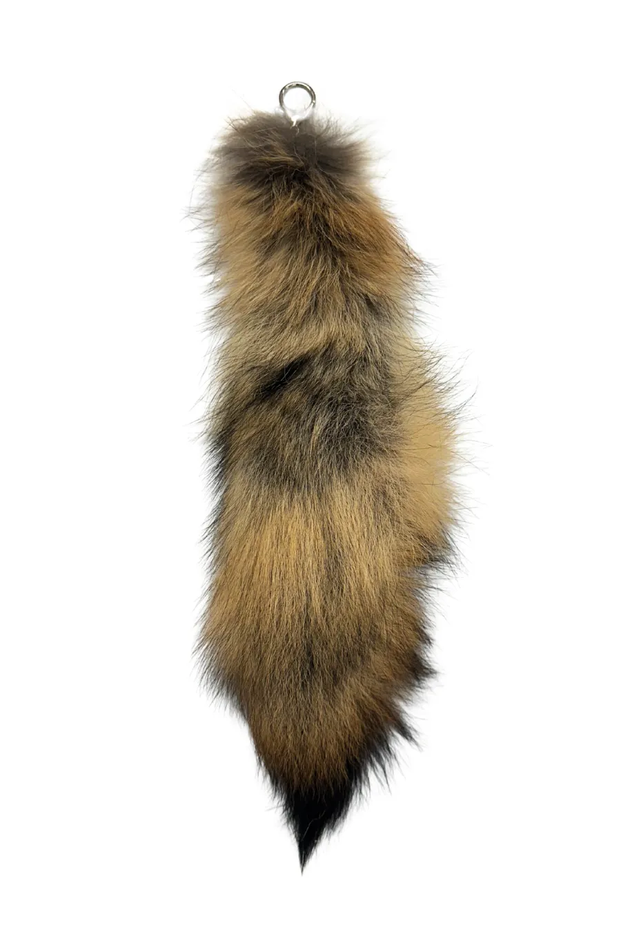 Porteclecoyote