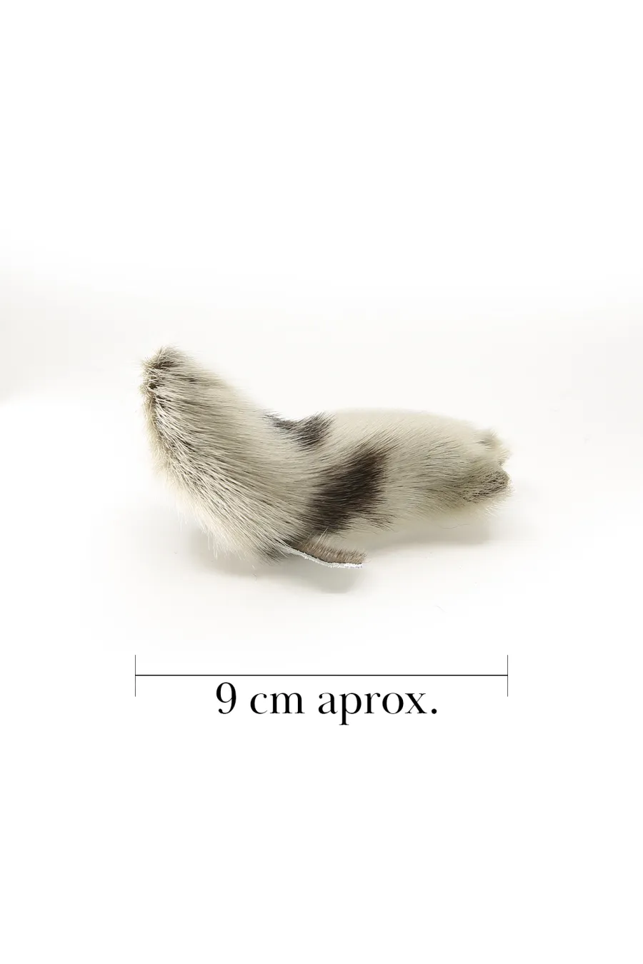 Peluche Loup Marin naturel Medium2