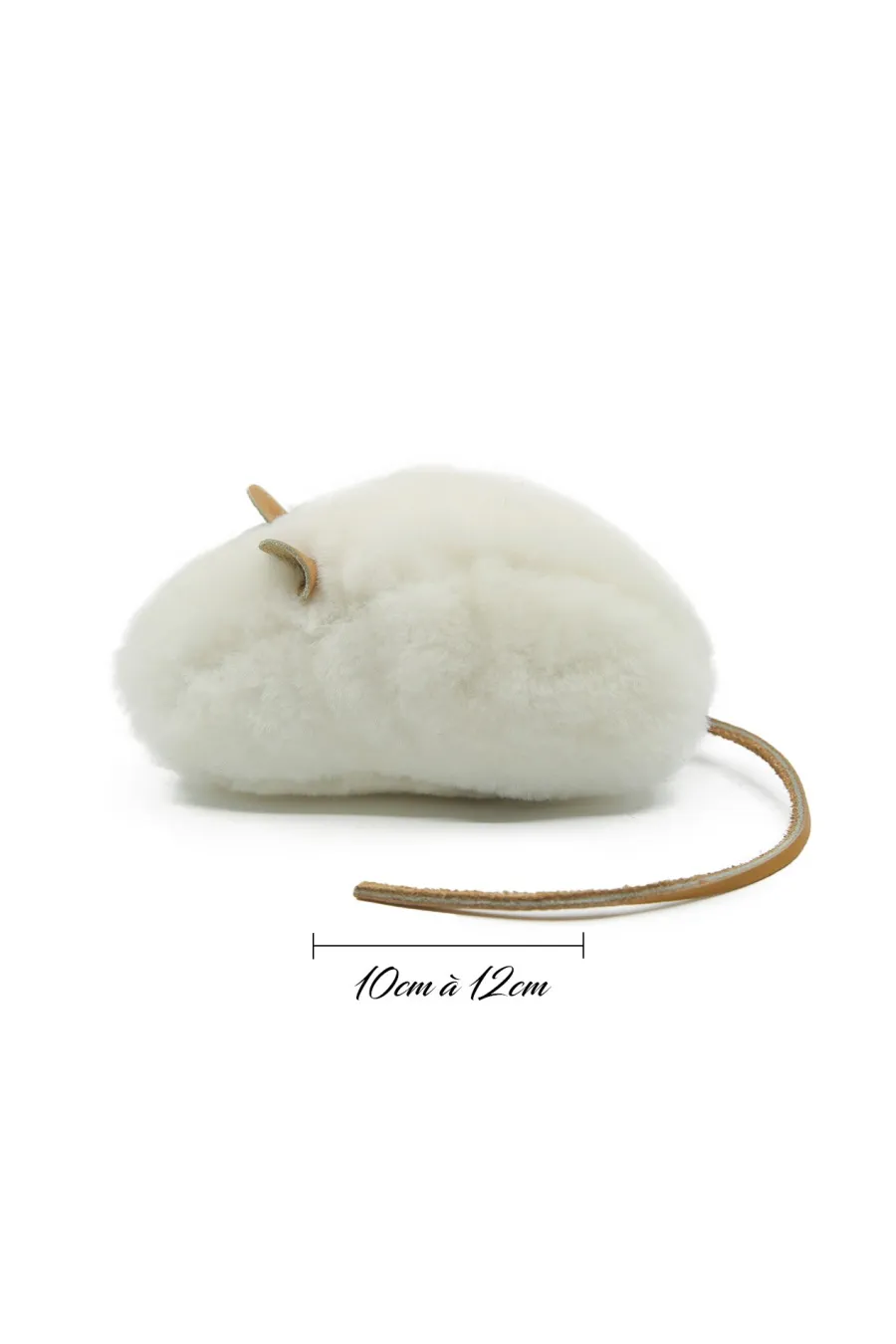 RATON GRAND 2