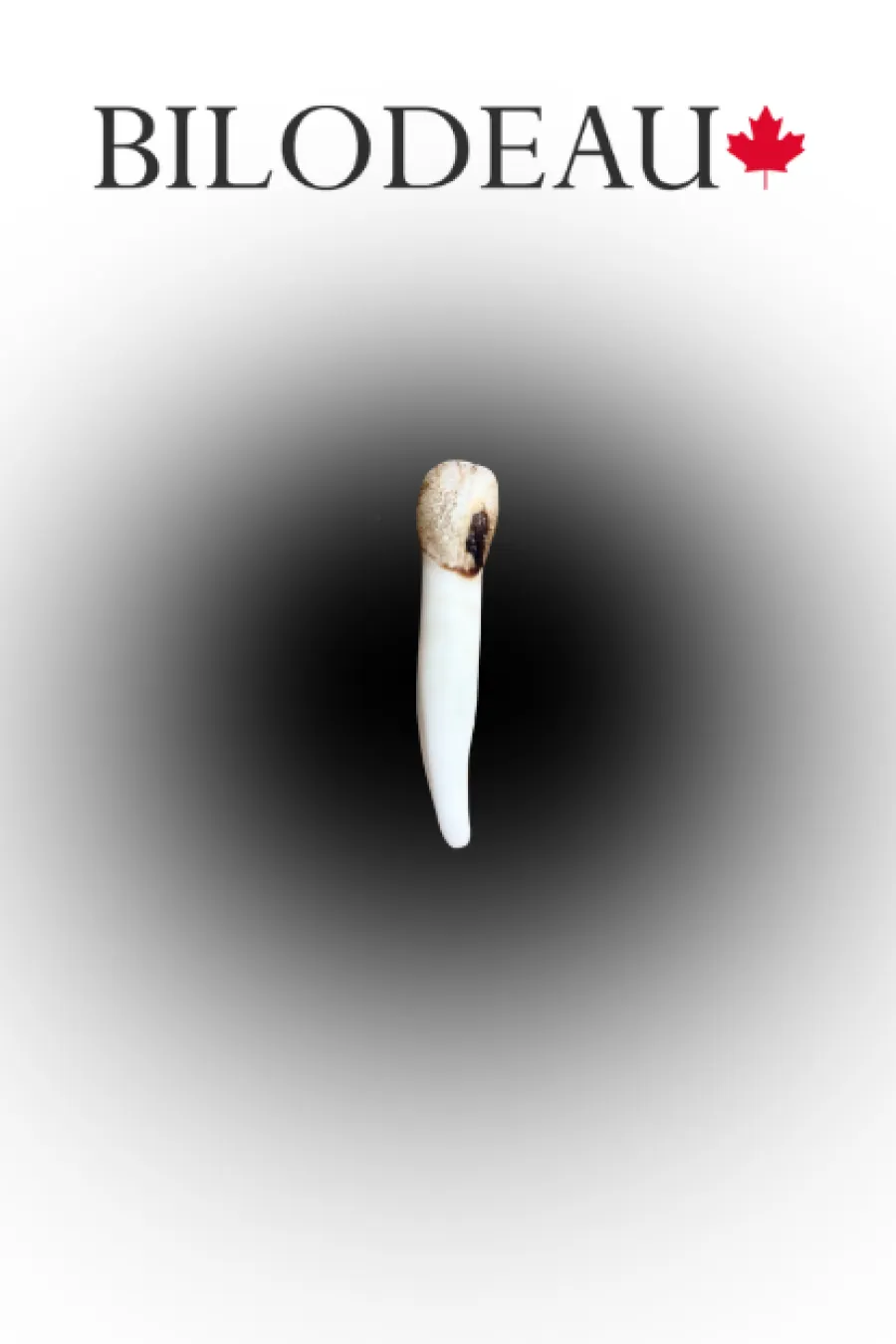 Dent orignal