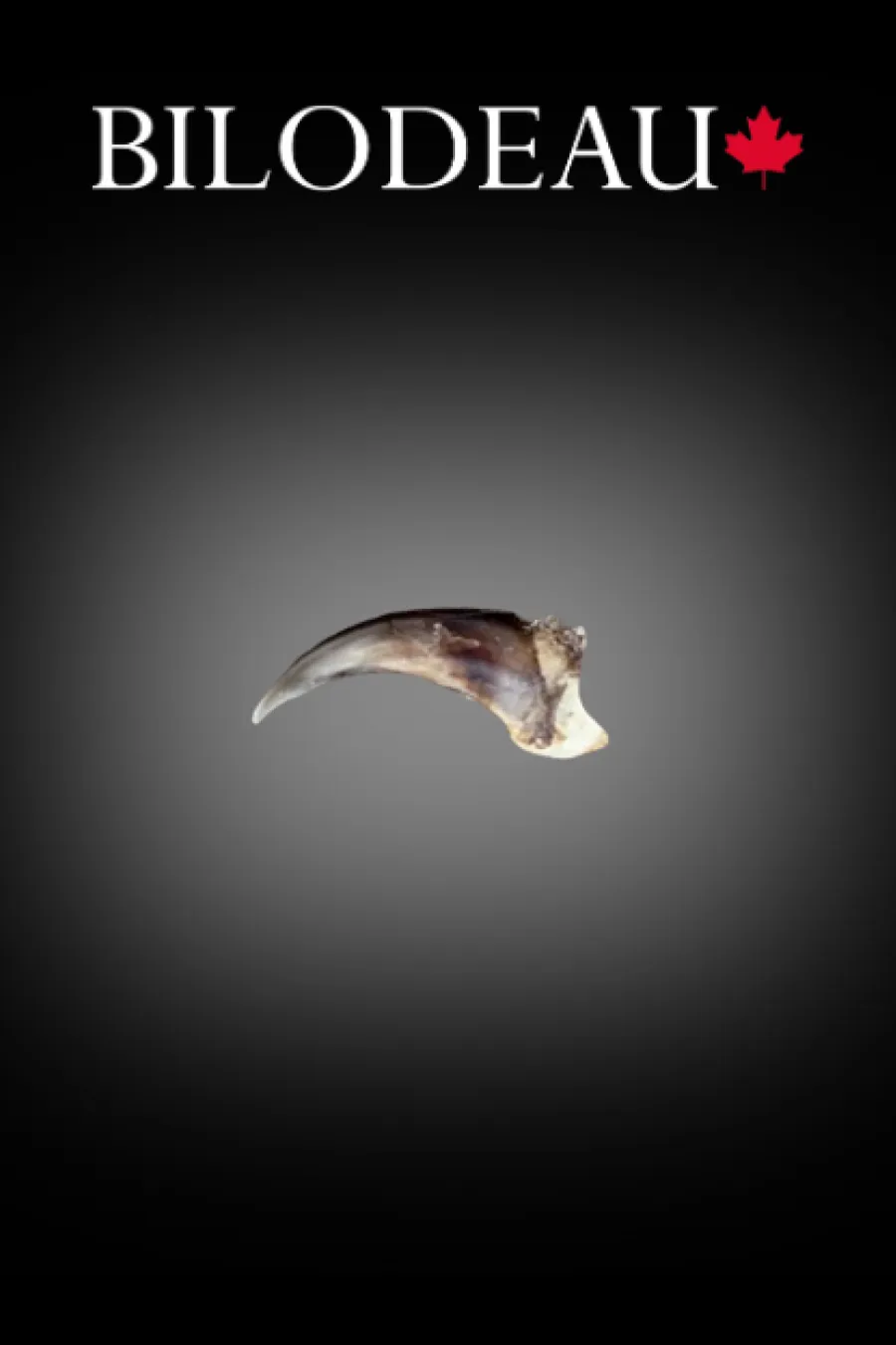 Griffes Coyote