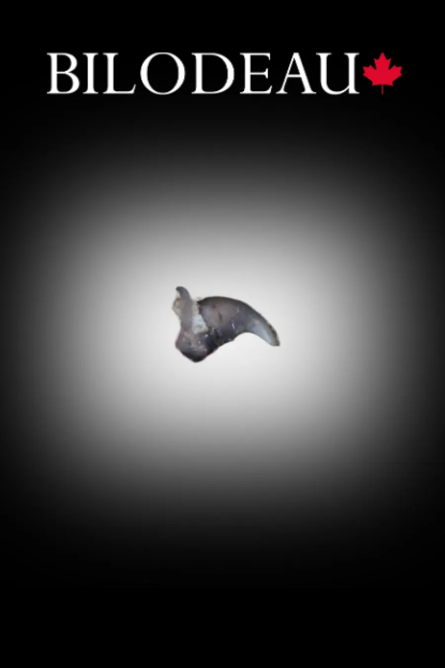 Griffes raton