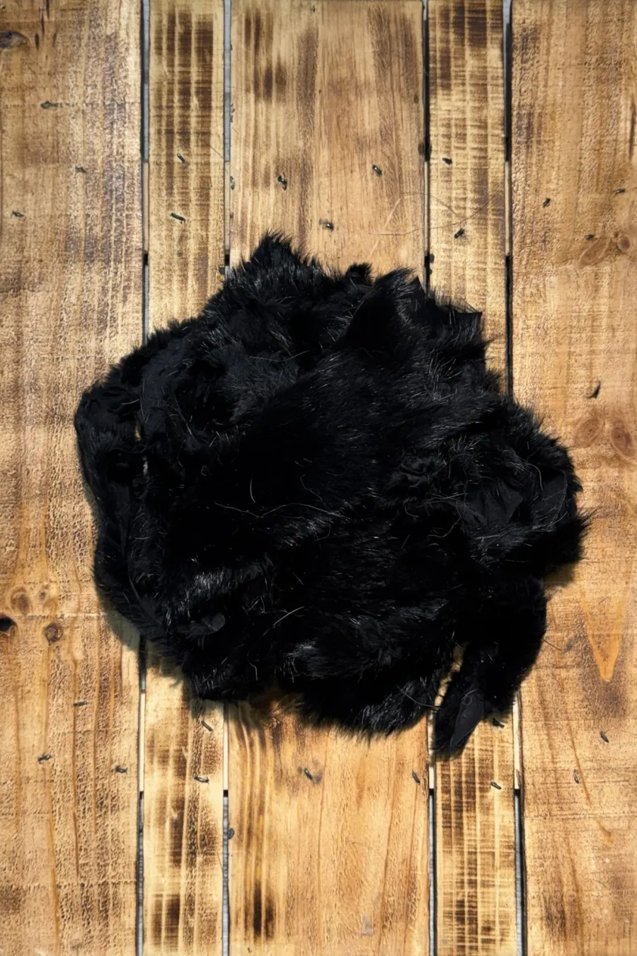 R castor noir 1