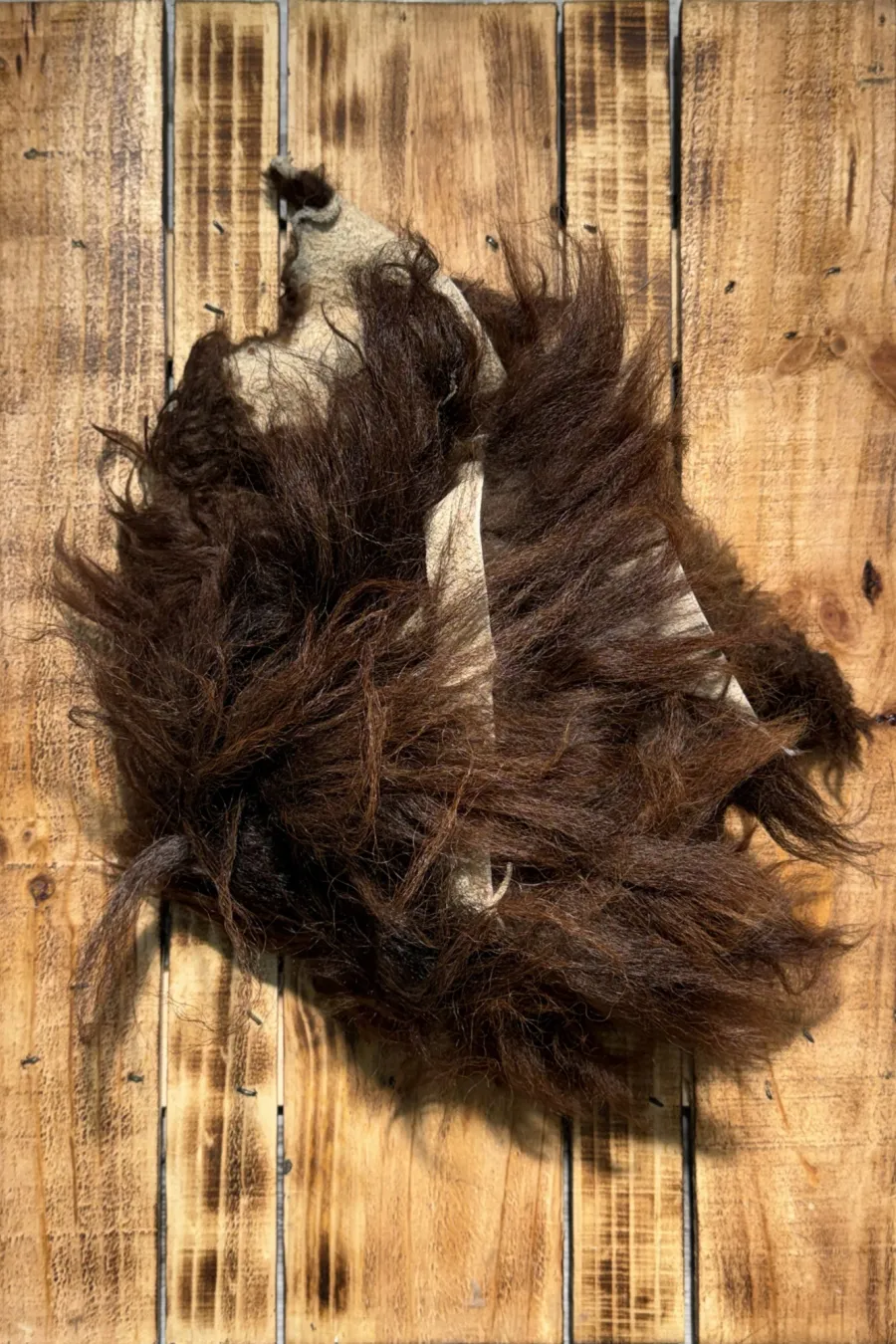 R bison 1