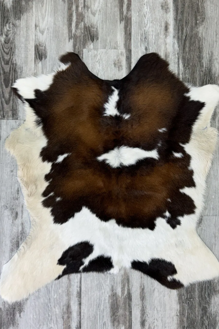 Veau 3