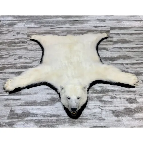 Polar Bear rug #29209| BILODEAU Canada