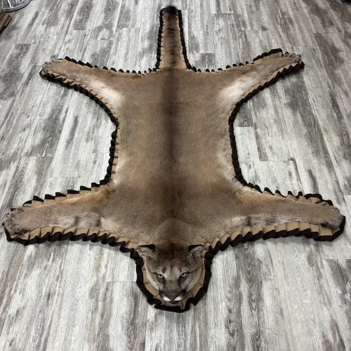 Tapis de Cougar #12922| BILODEAU Canada