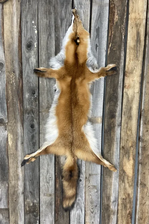 Red Fox pelt | Dressed skins | BILODEAU Canada