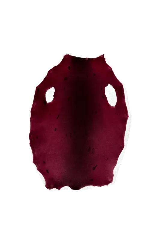 Fuchsia seal skin | Dressed skins | BILODEAU Canada