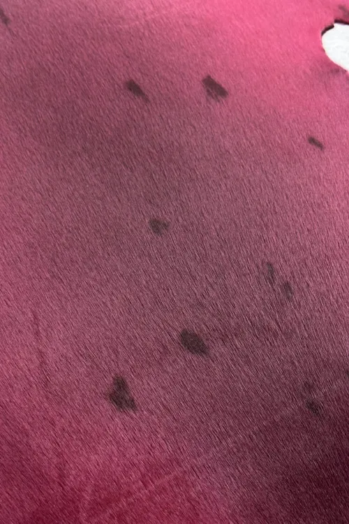 Fuchsia seal skin | Dressed skins | BILODEAU Canada