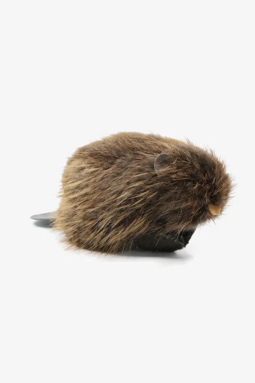 Peluche Castor naturel | Accessoires | BILODEAU Canada