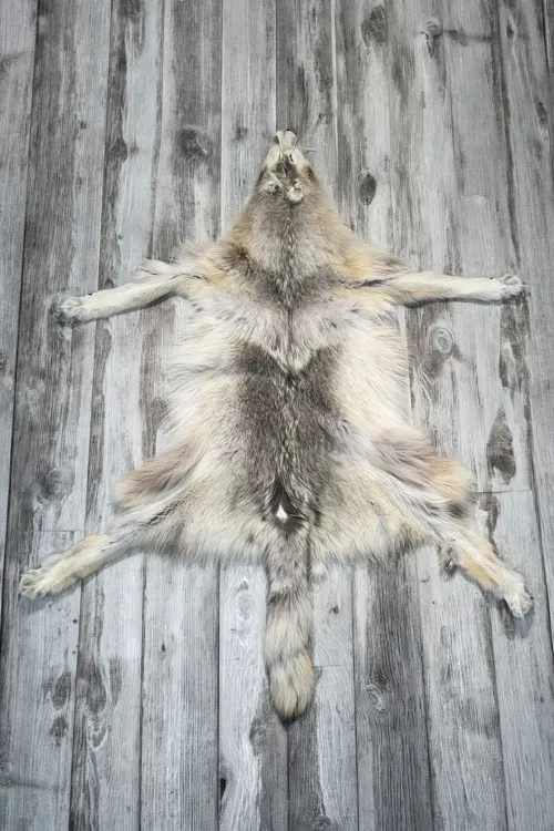 ARCTIC WOLF - #0001518 | Dressed skins | BILODEAU Canada