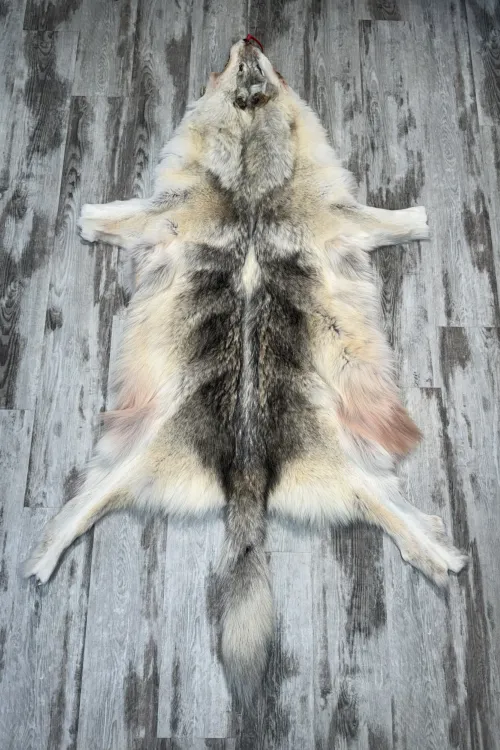 ARCTIC WOLF - #0001501 | Dressed skins | BILODEAU Canada