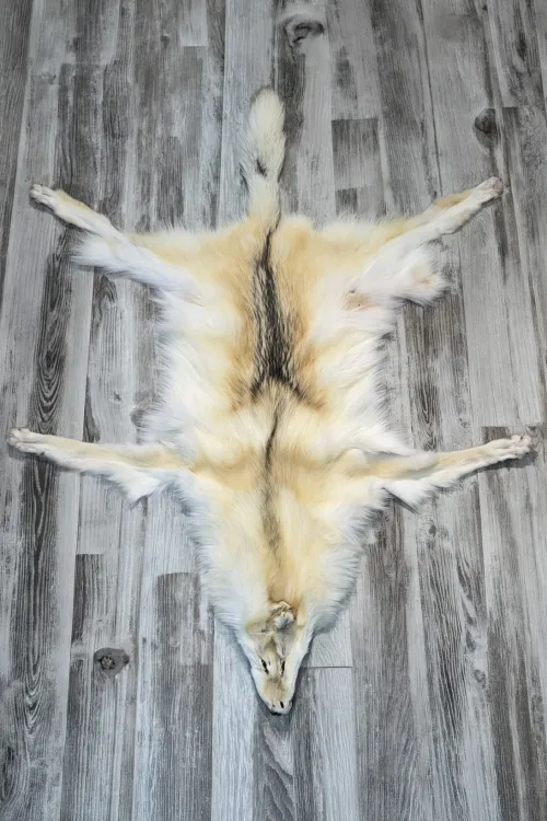 ARCTIC WOLF - #0001502 | Dressed skins | BILODEAU Canada