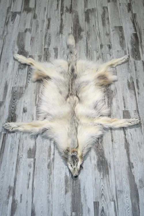ARCTIC WOLF - #0001516 | Dressed skins | BILODEAU Canada
