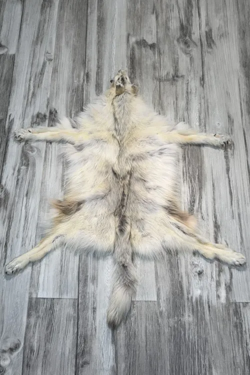 ARCTIC WOLF - #0001516 | Dressed skins | BILODEAU Canada
