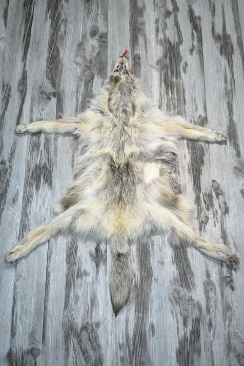 ARCTIC WOLF  - #0001517 | Dressed skins | BILODEAU Canada