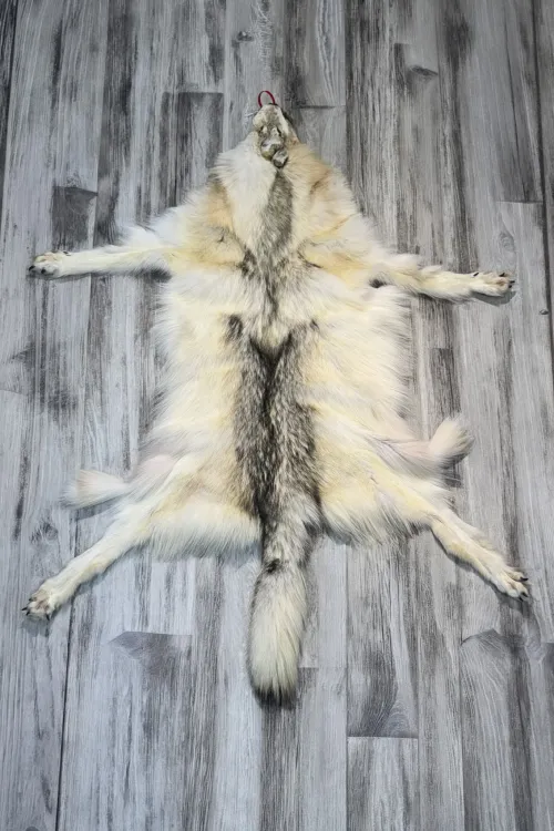 ARCTIC WOLF - #0001519 | Dressed skins | BILODEAU Canada