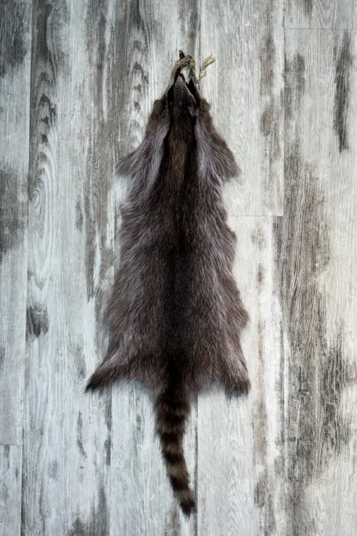 Raccoon pelt (Violet Tone) | Dressed skins | BILODEAU Canada