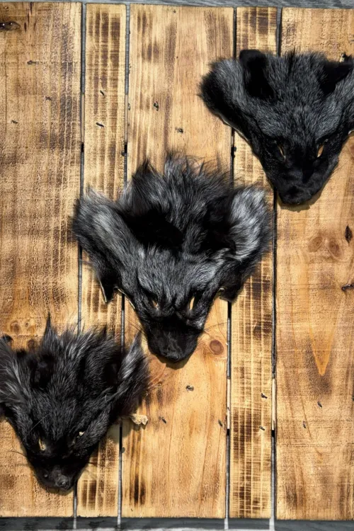 Silver Fox Head | Fur scraps | BILODEAU Canada