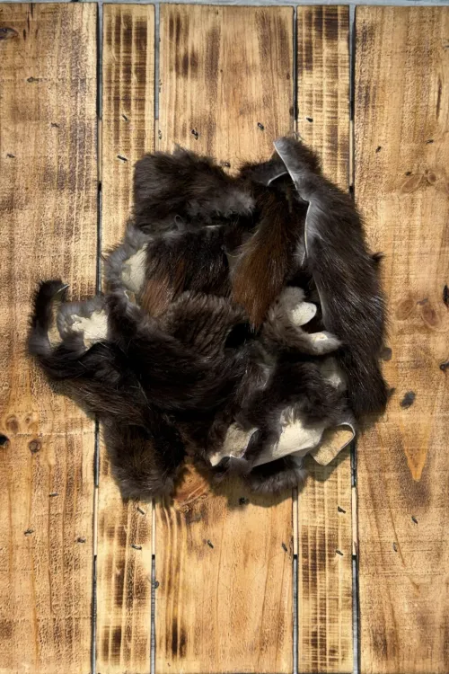 Retailles de Castor Naturel | Retailles de fourrure | BILODEAU Canada