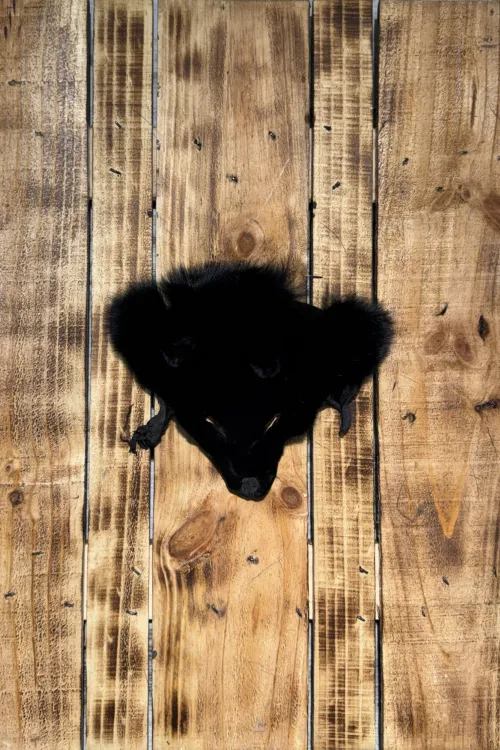 Black-dyed Fox Head | Fur scraps | BILODEAU Canada