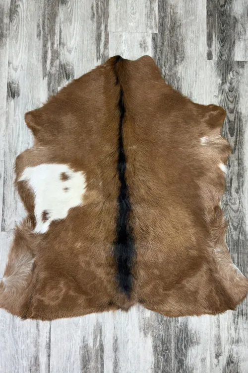 Peau de veau - 2 | Accessoires de décorations | BILODEAU Canada