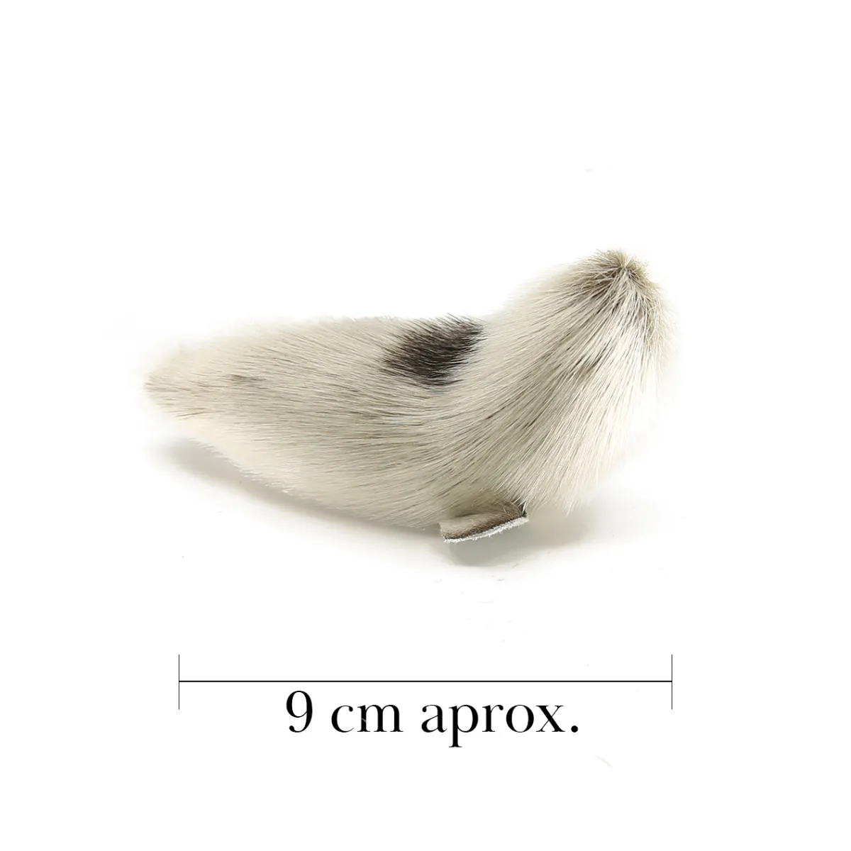 Phoque M