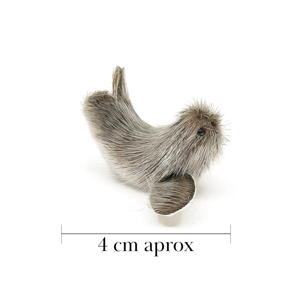 Phoque S