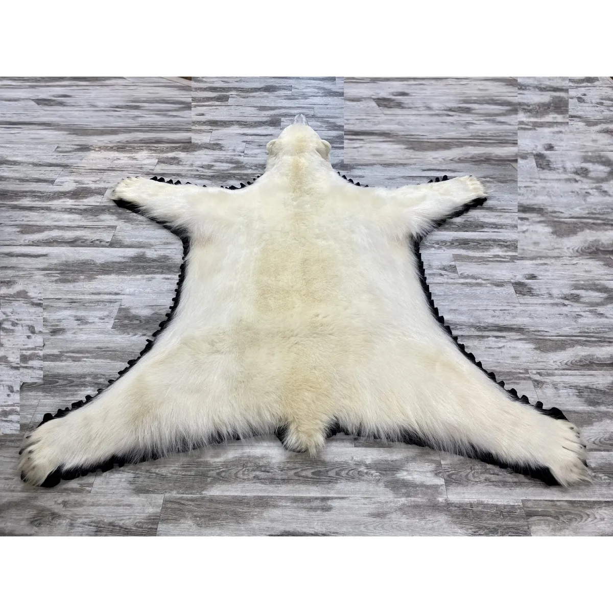 Tapis Ours polaire 29209 Complet DOS