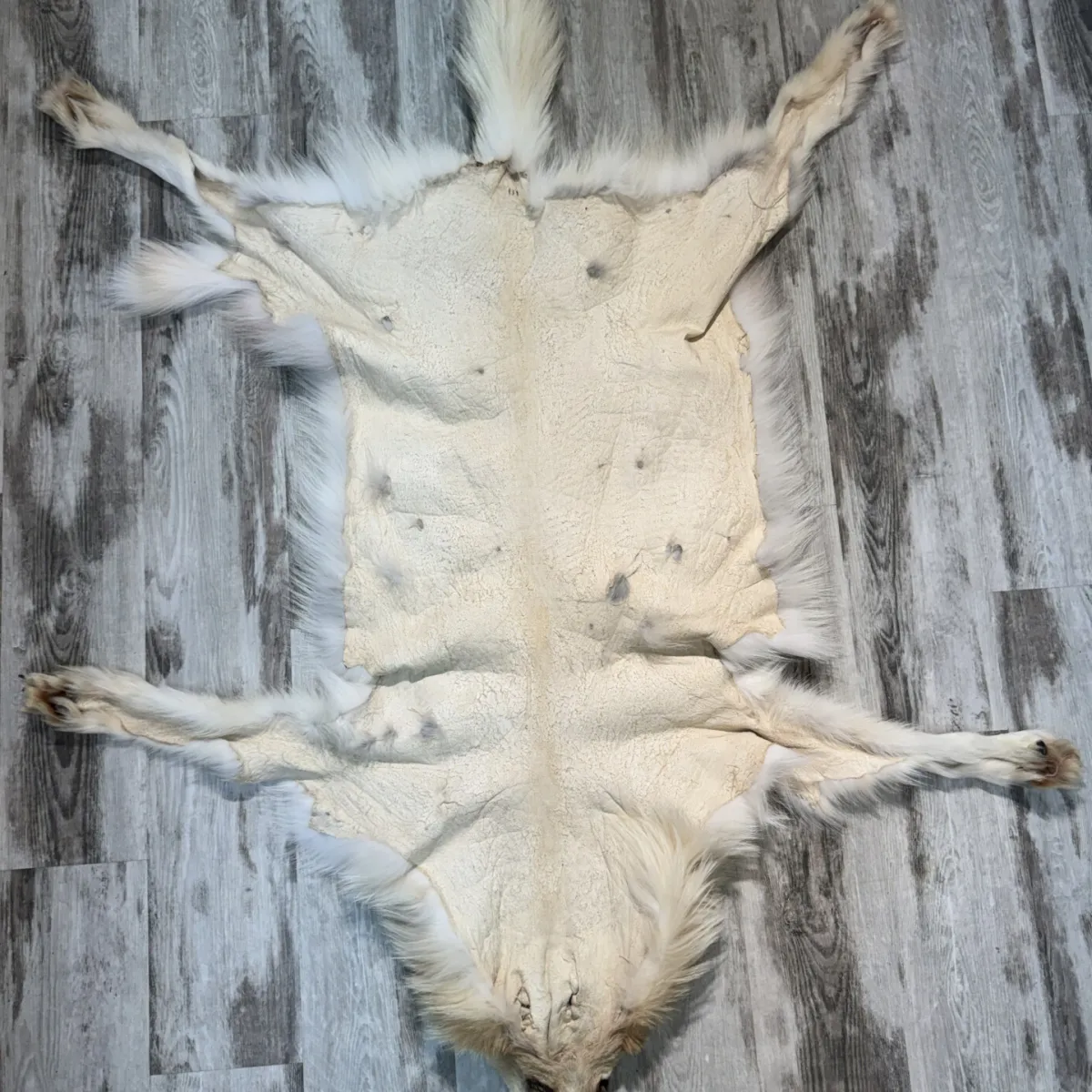 0001519 3