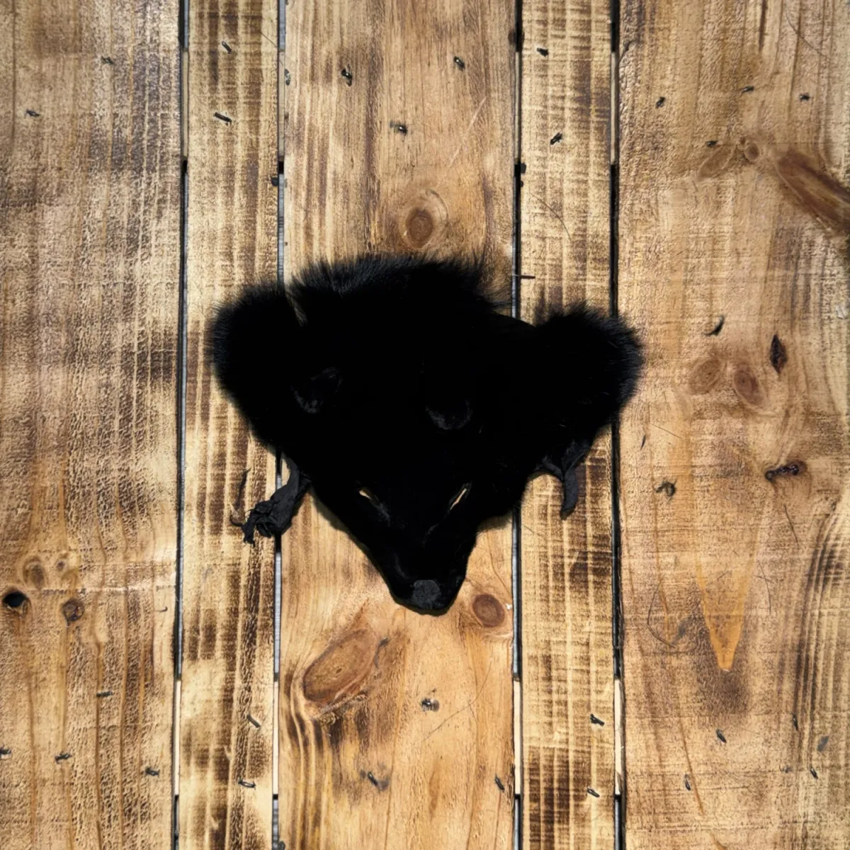 Tête r noir 1