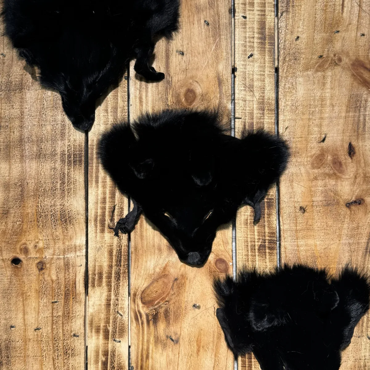 Tête r noir 2